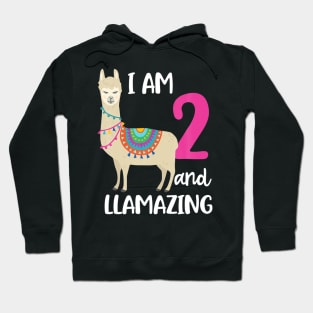 2Nd Birthday Llama I M 2 Years Old And Llamazing Hoodie